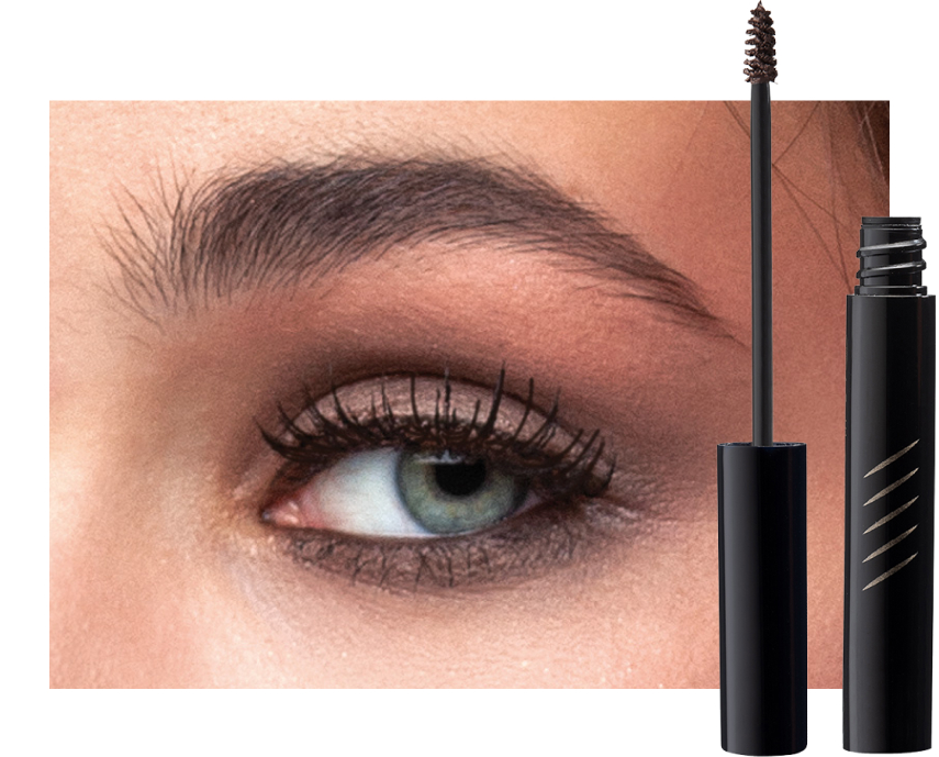 EYE BROWS