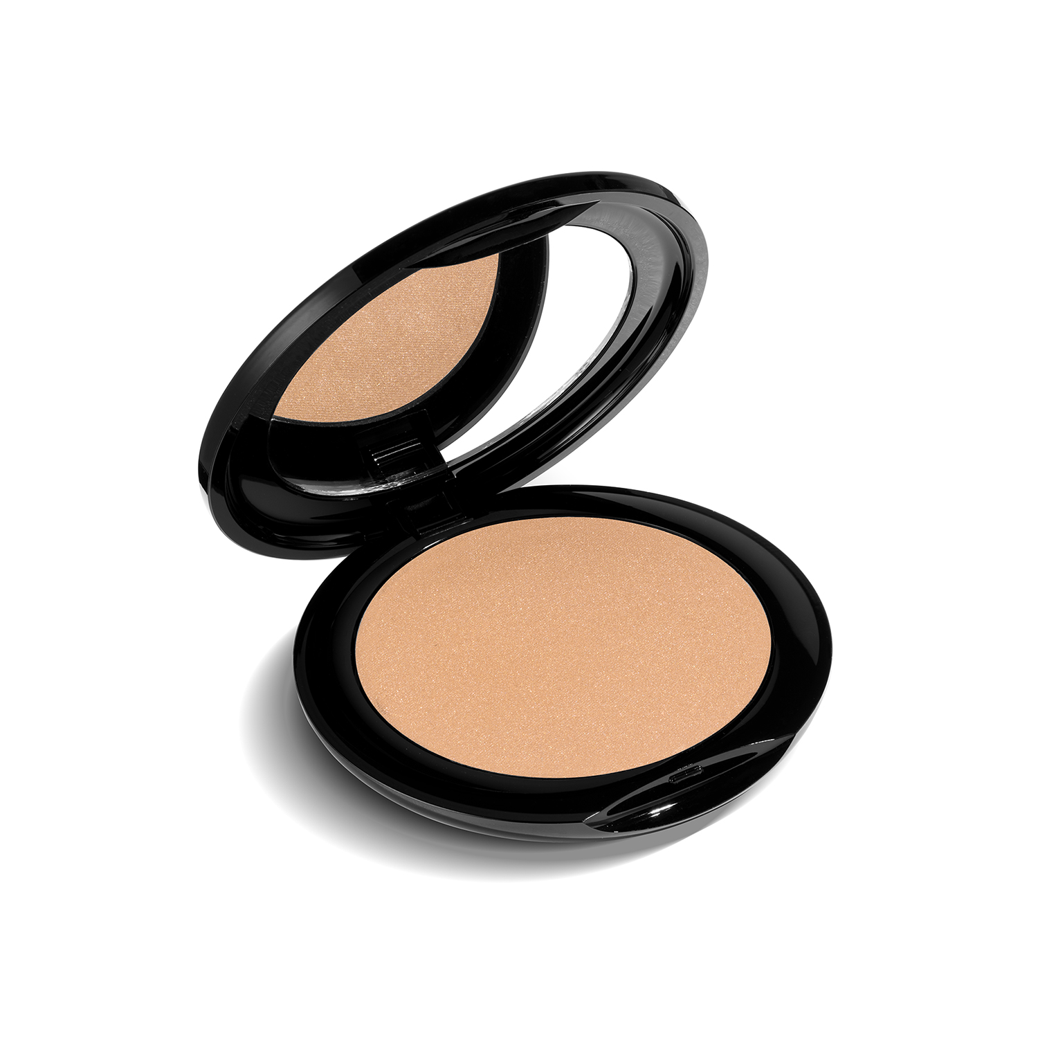 PERFECT FINISH COMPACT FACE POWDER Radiant Professional